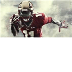 [RCFL] florida state
