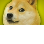 doge fan group/club