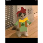 Welcome to the camp camp group
