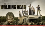 ~Walking Dead Fan Group~