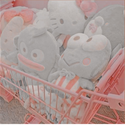。♡。♡。