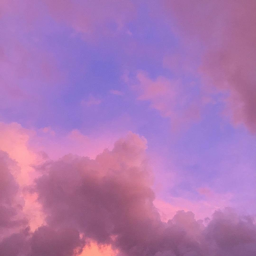 ✧･ﾟ: *✧･ﾟ:*
