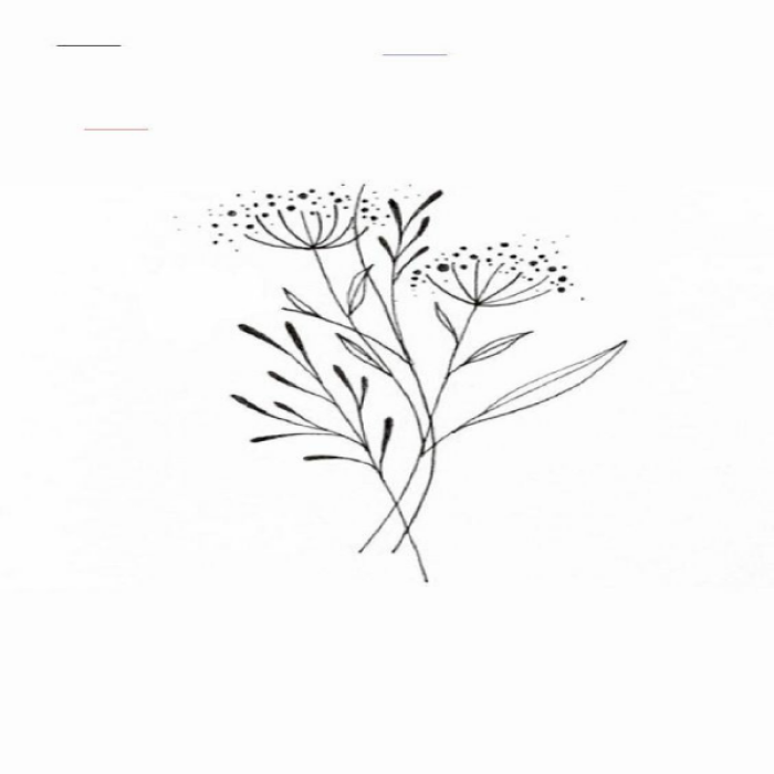 line drawing flower Roblox decal
