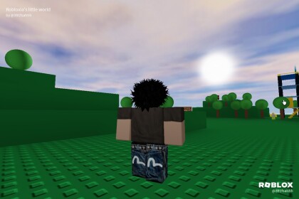 ✴
