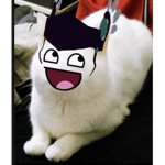 Ezzzdh