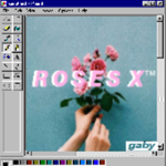 ROSES X ™