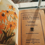 .~wild flowers~.