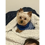 New emilio