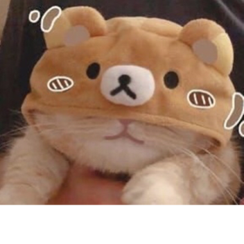 no