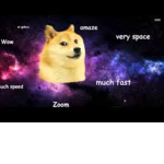 cooool doge group