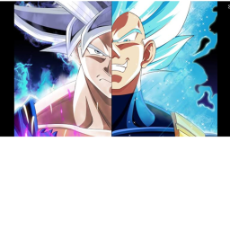 The world of dbz