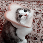 ~Hewwo