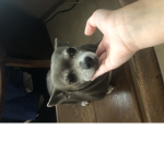 LUNA so cute!!!!!!!!!!!!!!!!!!!