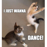 NEKOCATSLOVERS