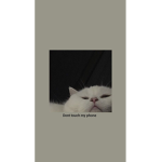 ꨄ ᴀ ᴋ ɪ ʜ ɪ s ᴀ シ