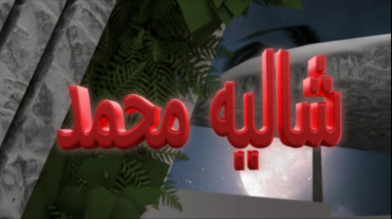 شاليه محمد ( شات 💬 ) screenshot 1