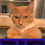 AGOTYY FAN GROUP (GRUPO DE FANS DO AGOTYY)