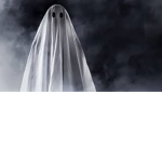 Ghosting Fakers