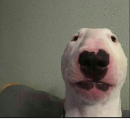 Walter Appreciation