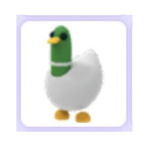 Silly Duck Nation