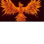 Rayhan Gaming YT fan group