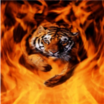 FIREFIST SQUAD