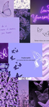 The purple butterfly’s group