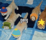 Elysian Gato