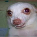 CUSUHCSJ