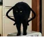ROBLOX E BA T