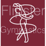 Flipster Gymnastics Staff Group