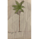 ######## Roblox fan group