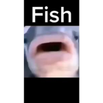 Ohio Fish Group