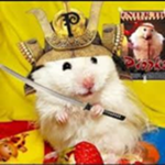 The Samurai Hamsters