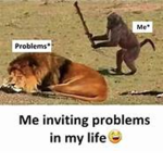 Monkeys Are Cool :D