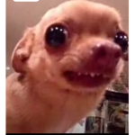 -ł-y-b-s-o-n-y-