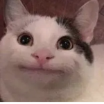 iiiiidk