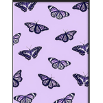 ~Butxerfly~