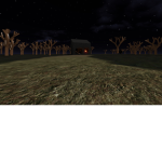 Taruskore Forest