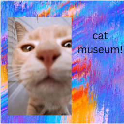 Cat museum