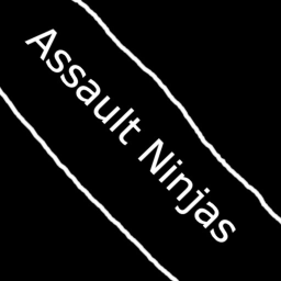 Assault Ninjas
