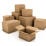 Annabeth and Drake's Box Squad
