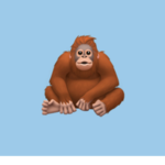 The Ape Cult