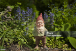 mrcrawlygnome army