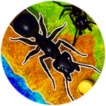 You played: Ant World 🌍!