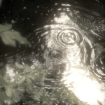 mirrored' Group Thumbnail