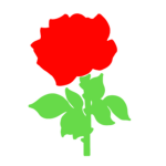 AiLvU