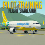 Pilot Training Flight Simulator