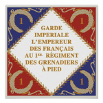 The Imperial Guard (Old Guard)