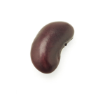 Bean Game Studios